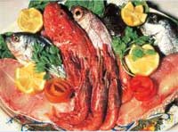 fischen_malta_gozo_1